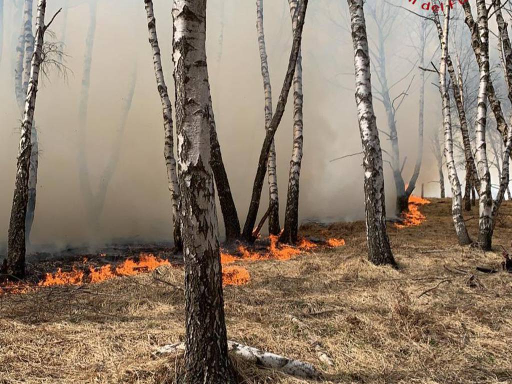 incendio monti di livo alto lago di como giorno di pasqua pompieri