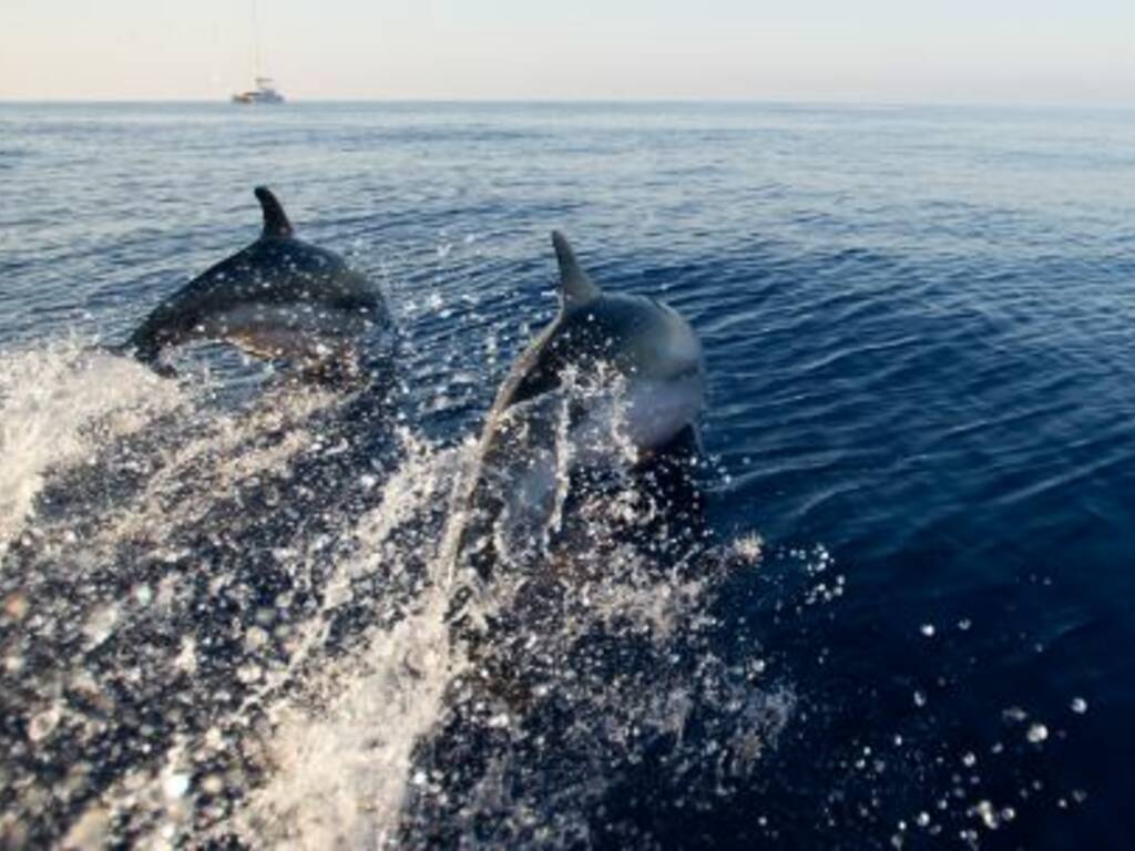 giornata mondiale oceani