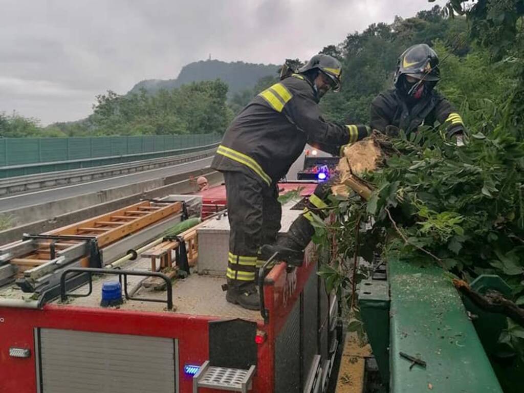 interventi pompieri piante pericolanti su a9 e cantù