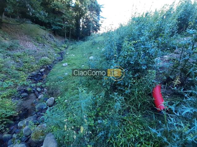 Carabinieri forestale scoprono scarico abusivo parco spina verde