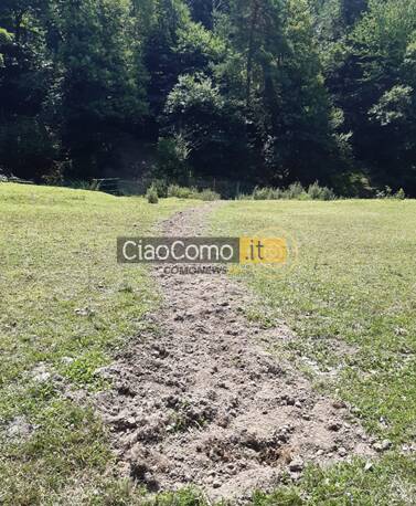 Carabinieri forestale scoprono scarico abusivo parco spina verde