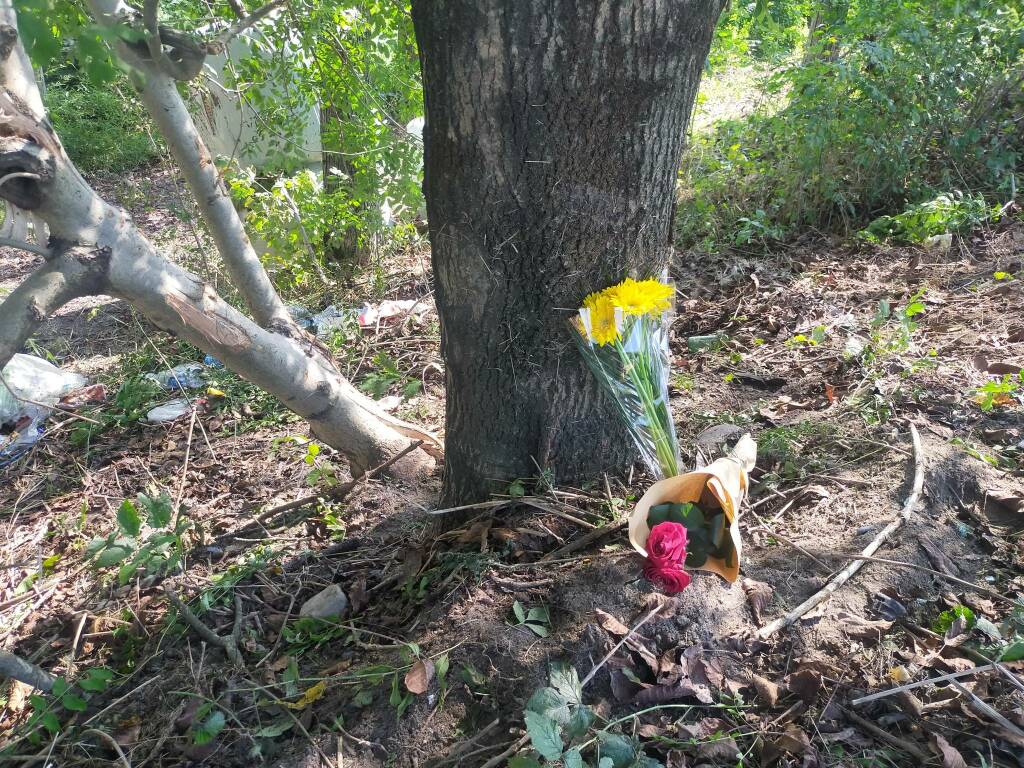 incidente casnate auto fuori strada contro albero luogo schianto e fiori amici