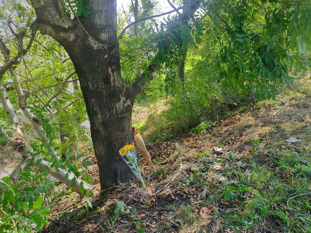 incidente casnate auto fuori strada contro albero luogo schianto e fiori amici