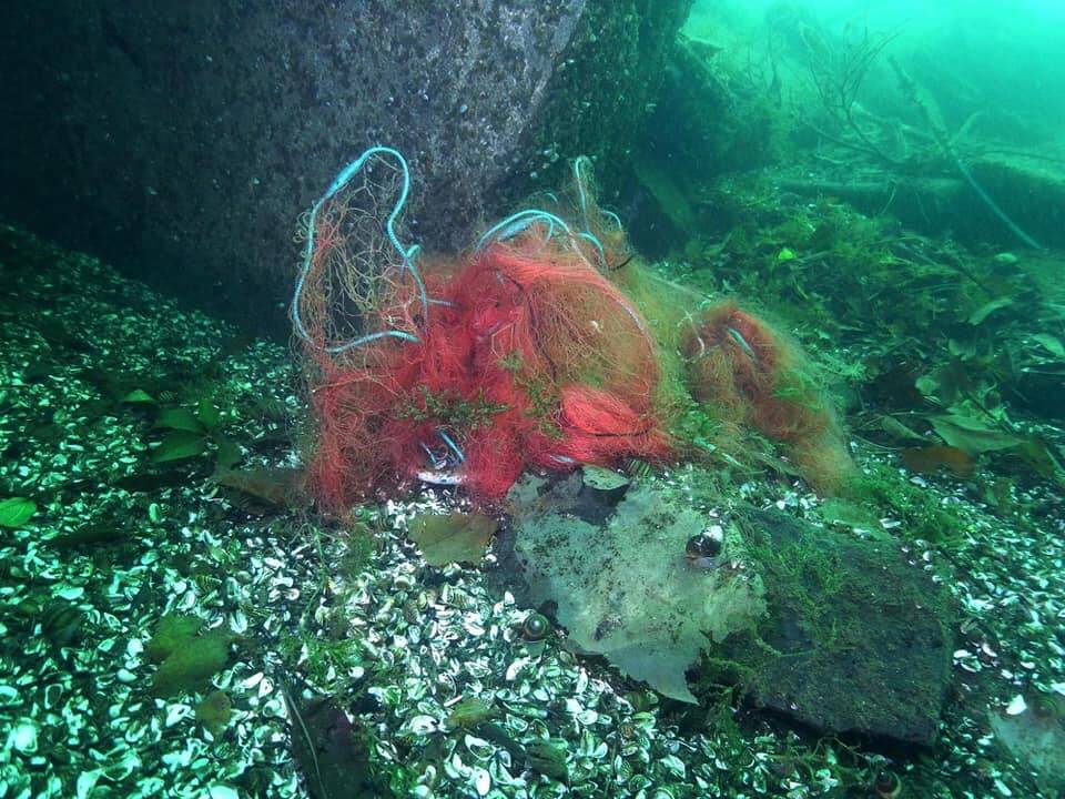 Recupero reti abbandonate nel lago di Como con i sub di Bibo