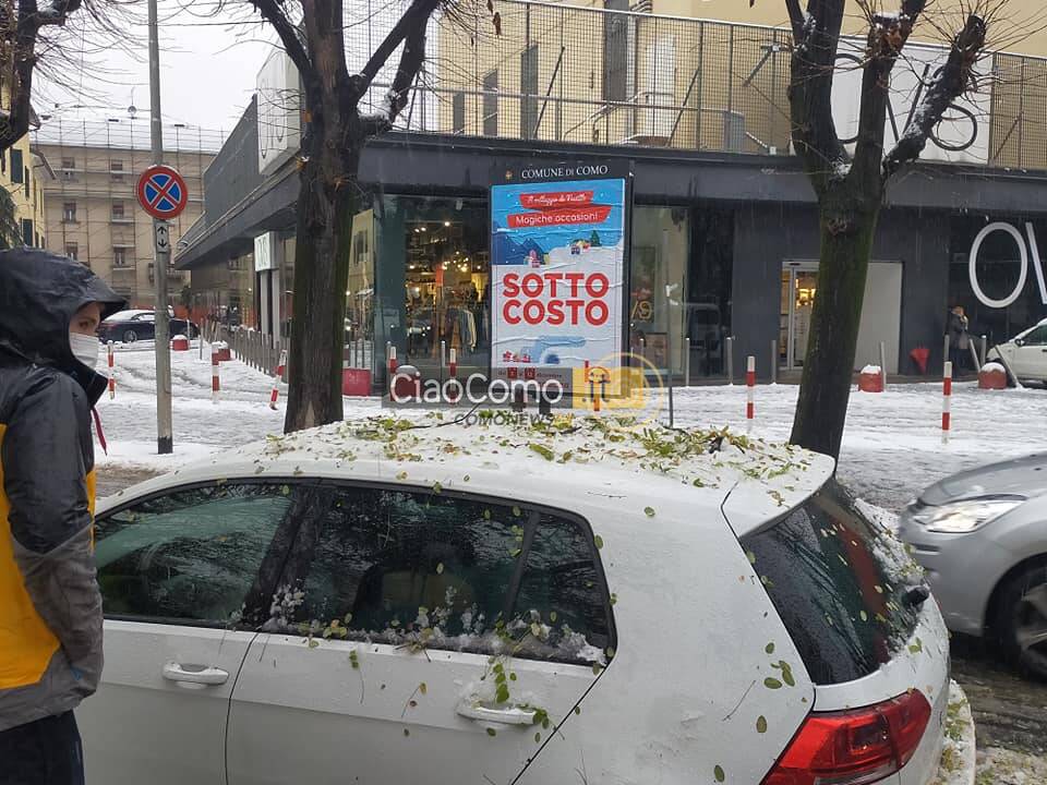 alberi caduti per neve como viale giulio cesare e poi andrate di fino mornasco