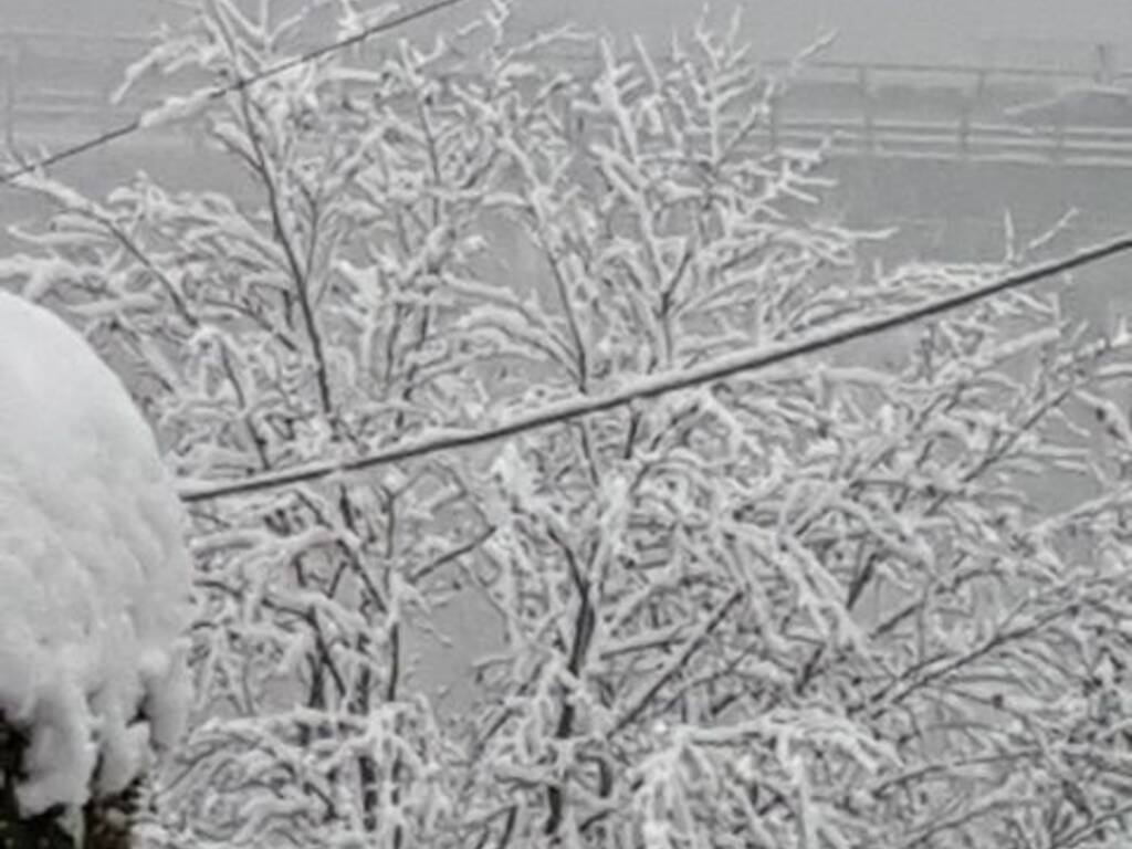 monte olimpino alb eri pericolosi per neve via cardina