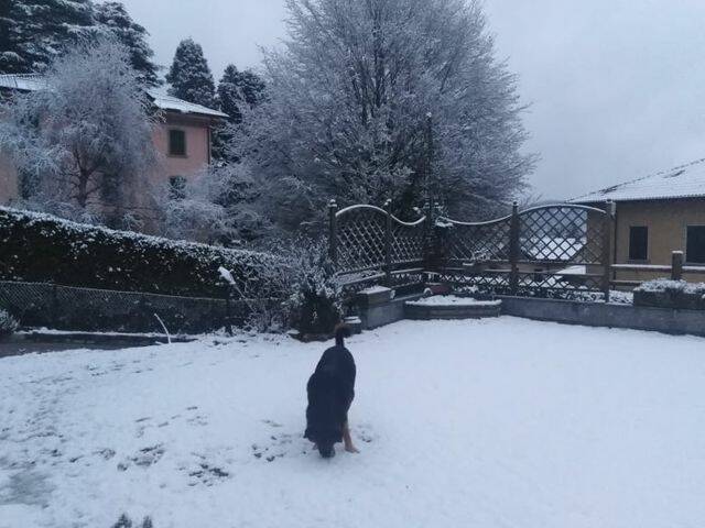 neve di oggi brunate, colma sormao e valle intelvi 