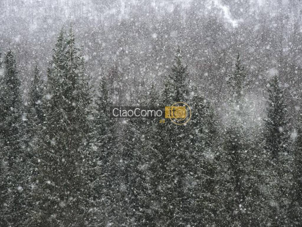 neve oggi foto lettori pian del tivano questa mattina