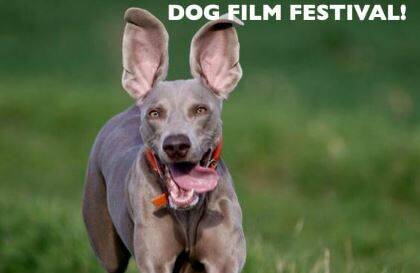 dog film festival