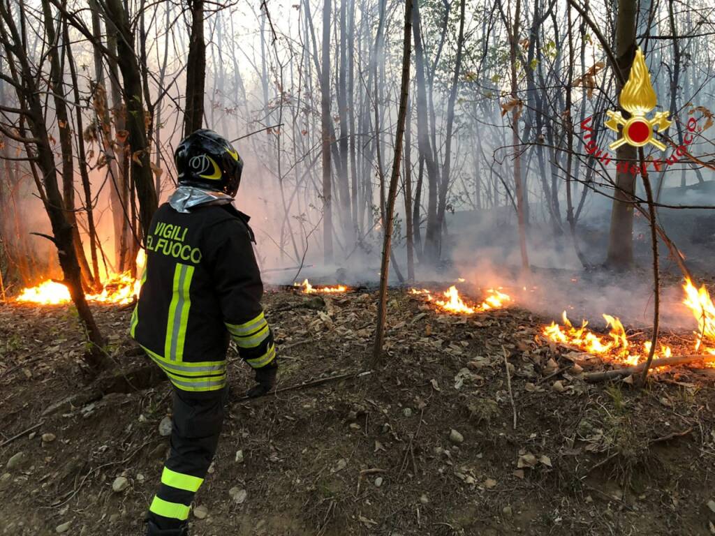 incendio di lurate caccivio boscaglia pompieri