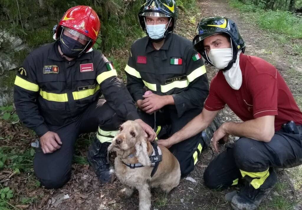 cane burrone alta valle d'intelvi recupero pompieri