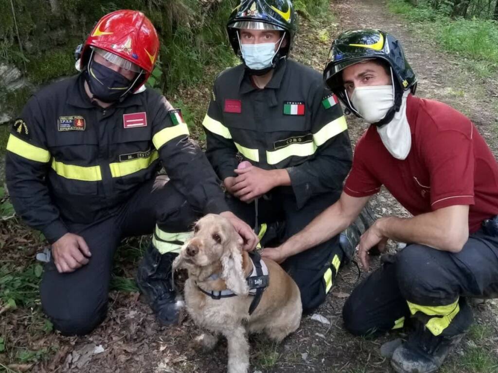 cane burrone alta valle d'intelvi recupero pompieri