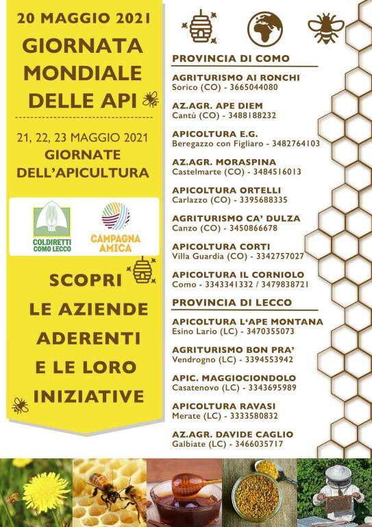 giornata delle api