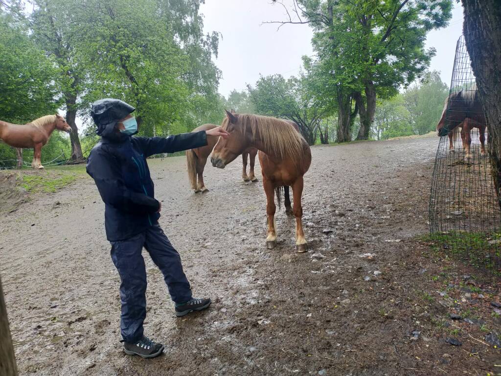 Lanzo Intelvi transumanza cavalli Bisbino