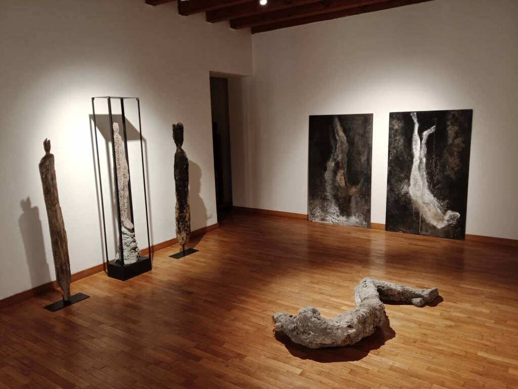 Terra Incognita mostra Mattia Barone per Algae Festival