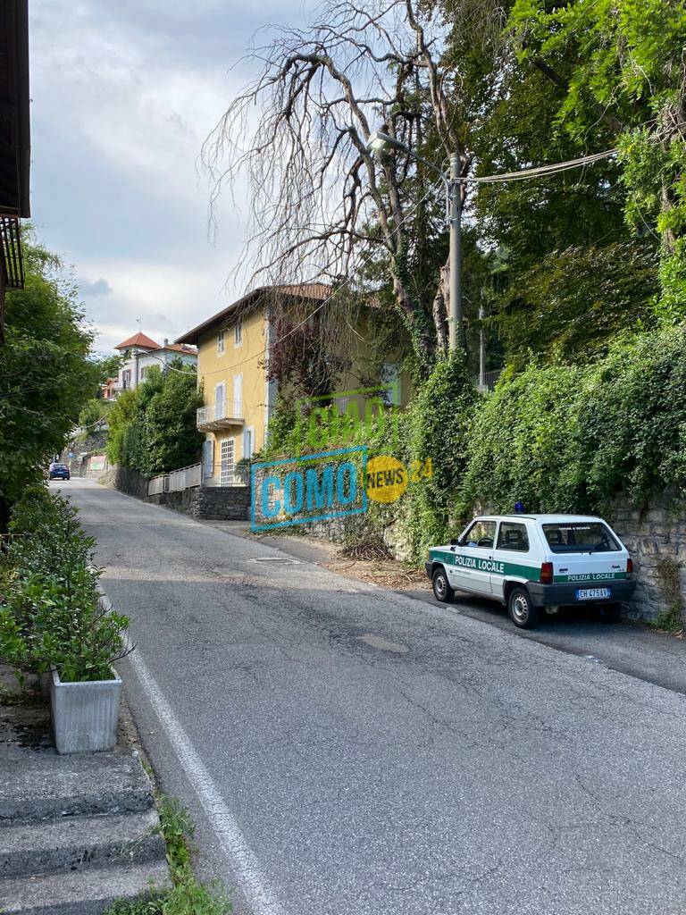 dizzasco strada riaperta dopo pianta sui cavi della corrente