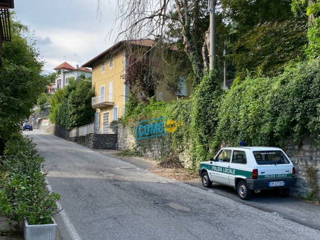 dizzasco strada riaperta dopo pianta sui cavi della corrente