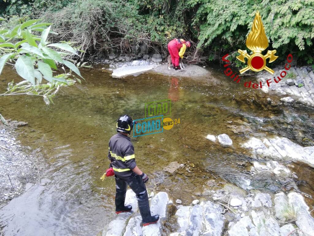 cane nel fiume lambro ad asso recuperato da pompieri