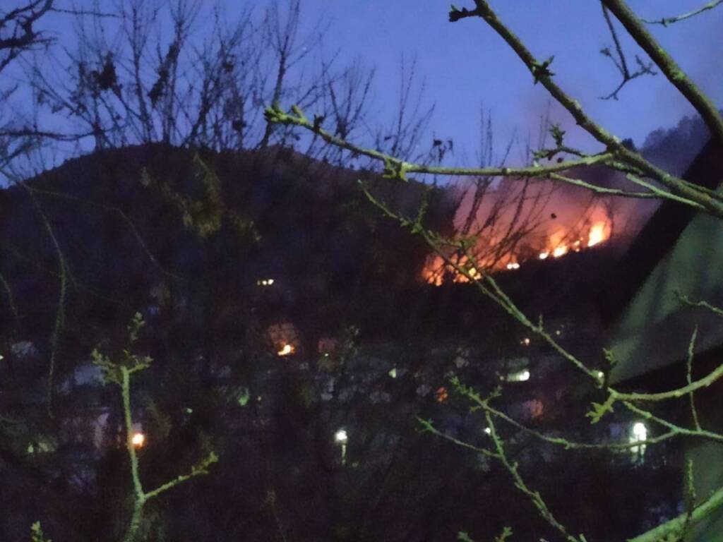 incendio bosco di veleso intervento pompieri per domare fiamme