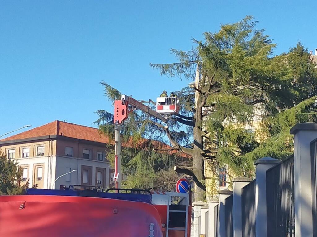 allerta meteo como per vento forte pompieri interventi taglio alberi