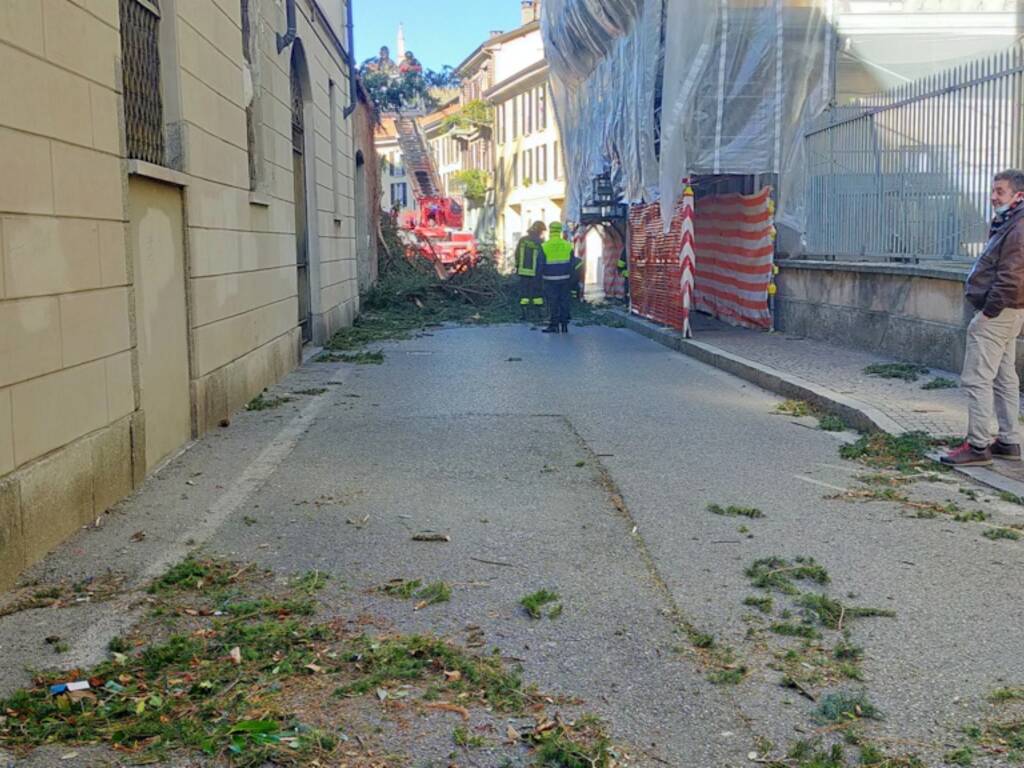 allerta meteo como per vento forte pompieri interventi taglio alberi