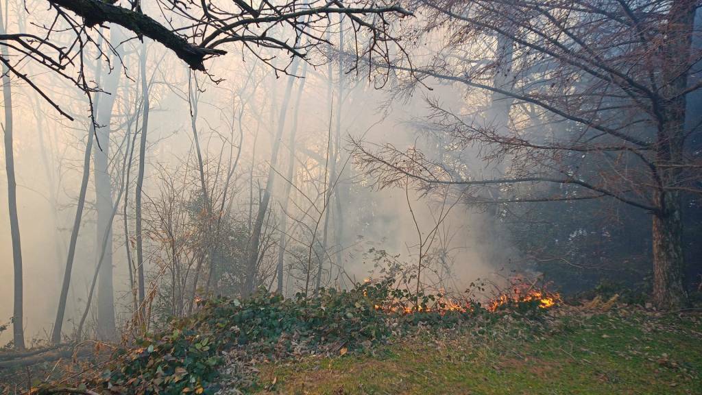 incendio bosco solbiate con cagno fumo vigili del fuoco