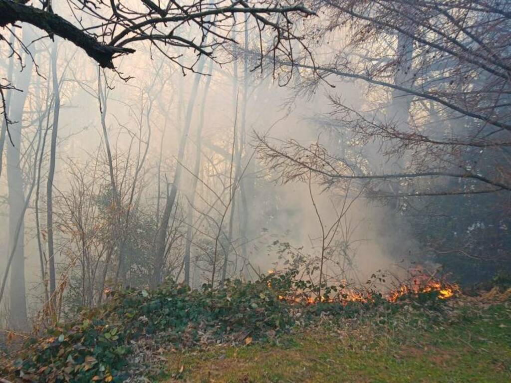 incendio bosco solbiate con cagno fumo vigili del fuoco