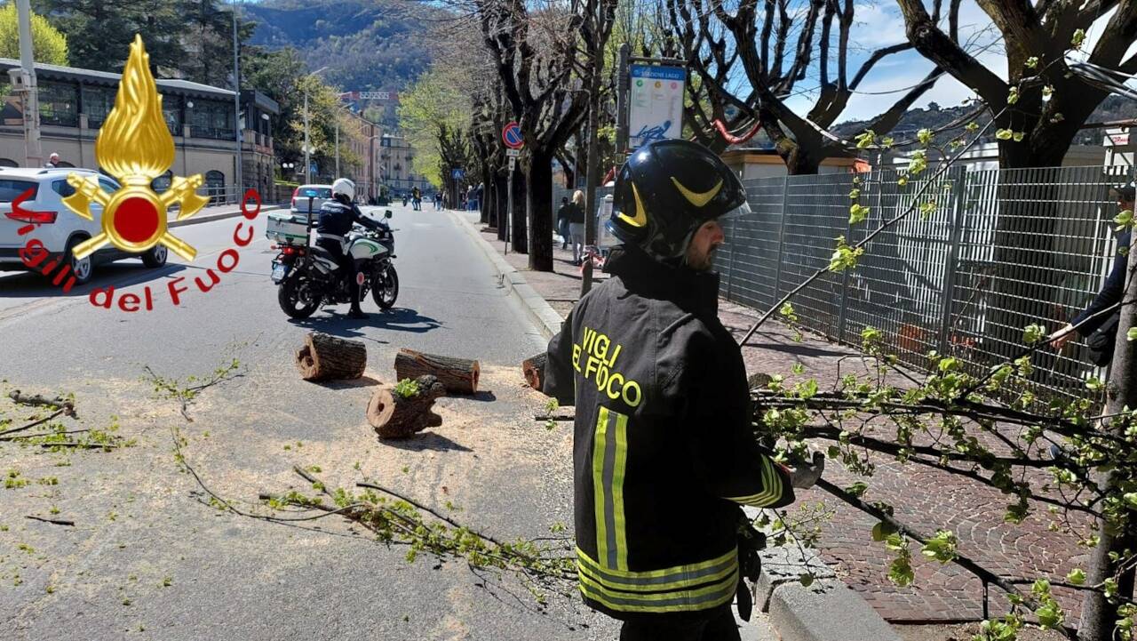 interventi dei vigili del fuoco como e provincia per raffiche di vento taglio alberi
