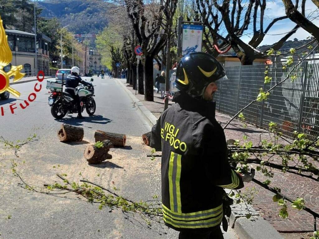 interventi dei vigili del fuoco como e provincia per raffiche di vento taglio alberi