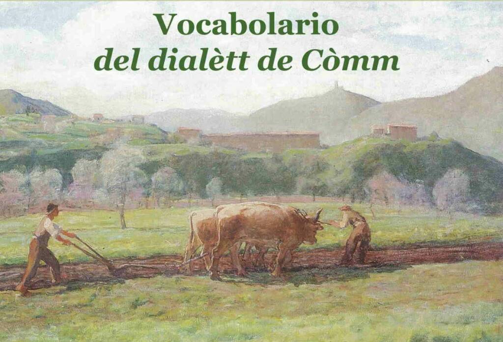 famiglia comasca dialetto