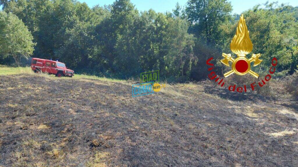 vigili del fuoco a colverde di drezzo incendio bosco rogo