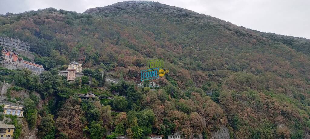 L'emergenza siccità nel comasco: centinaia di piante bruciate dal caldo sui monti