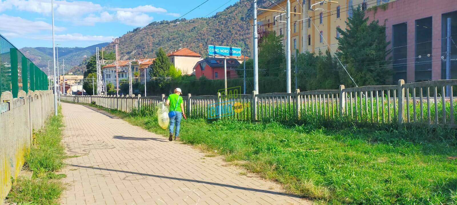 weroof e timberland per pulire ippocastano e borghi i volontari protagonisti