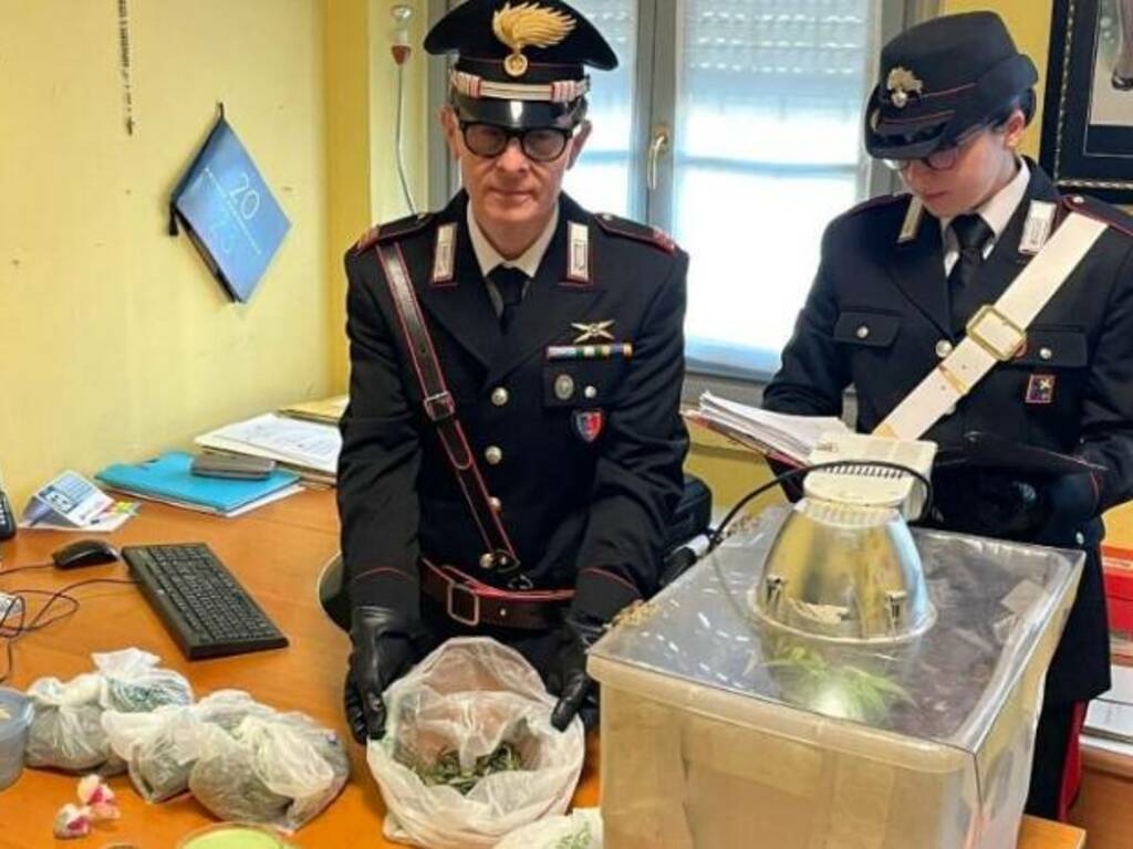 coltivazione in casa piante marijuana i carabinieri lo scoprono e sequestrano tutto