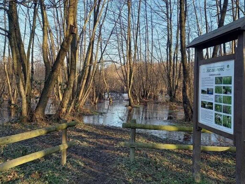 Save The Frogs Day Circolo Ambiente Ilaria Alpi Zoc del Peric