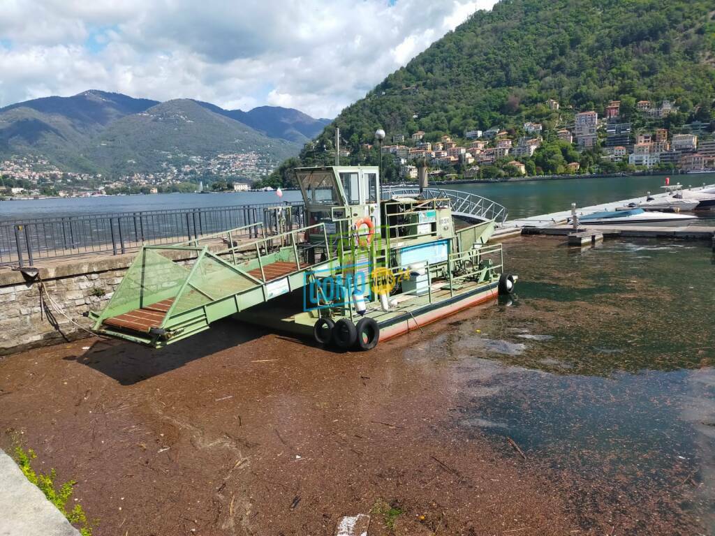 lago sporco primo bacino dopo lamltempo diga foranea e battello spazzino fermo