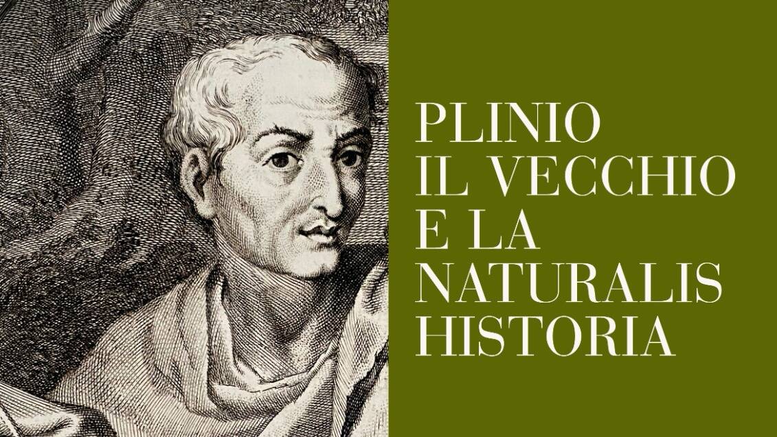 Plinio Il Vecchio e la Naturalis Historia in mostra in SS. Cosa e Damiano